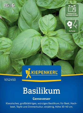 Basilikum "Genoveser"