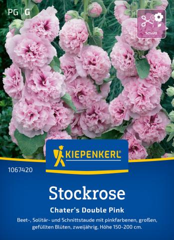 Stockrose "Charter's Double Pink"