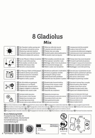 Gladiolen-Mix (8 St)