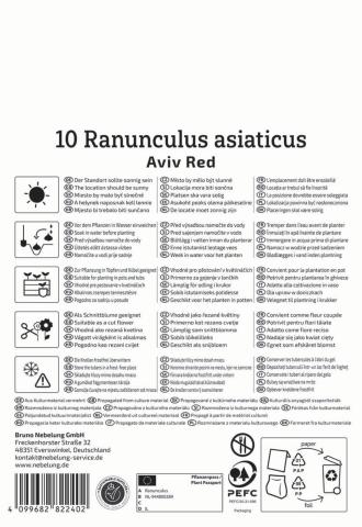 Ranunkeln Rot (10 Knollen)