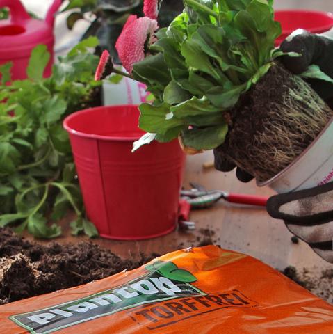 Bio Rasenerde (torffrei) 40l