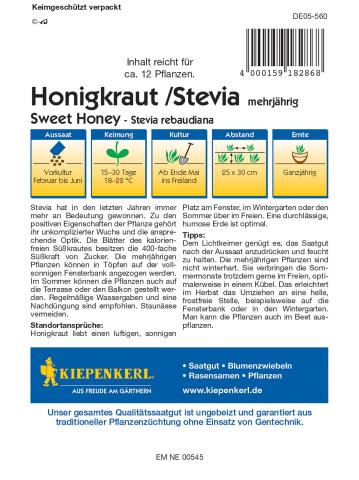 Stevia - Mehrjähriges Süßkraut/Honigkraut