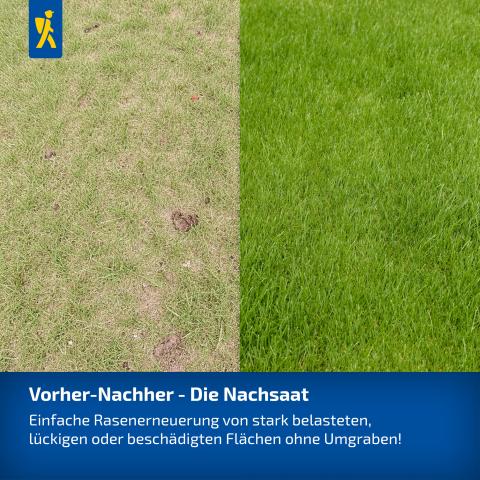 Premium Nachsaat-Perlen 1,4kg