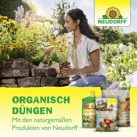 Azet Blumendünger flüssig 250ml
