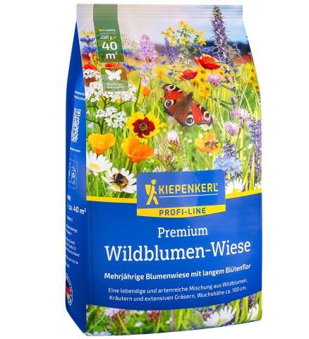 Wildblumen-Wiese 0,25kg für 40m²
