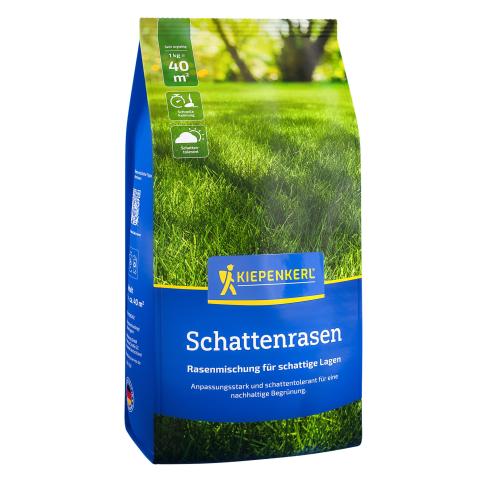 Saatgut Schattenrasen 1kg